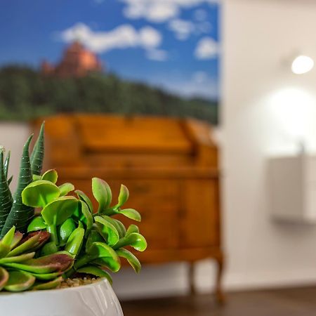 Righi Suite Apartment Bologna Esterno foto