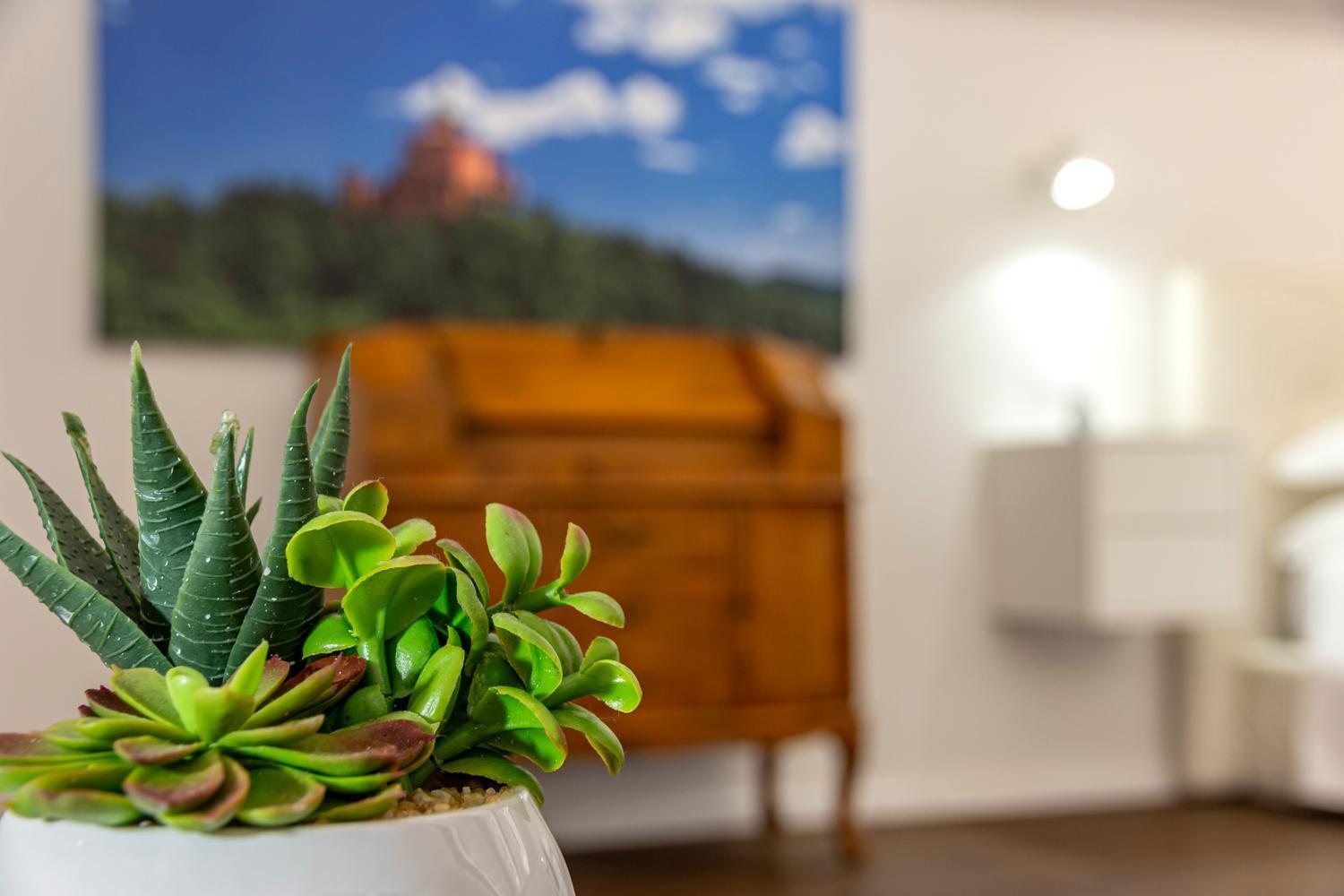 Righi Suite Apartment Bologna Esterno foto
